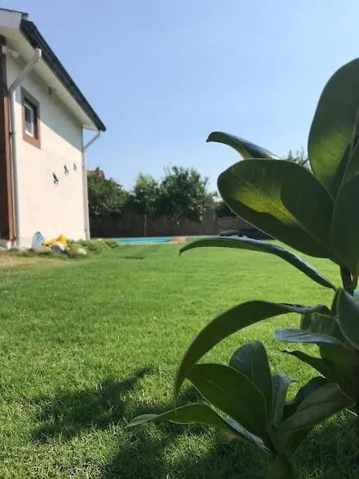 Kirlangicevi Vila Ortaca  Ortaca (Mugla)